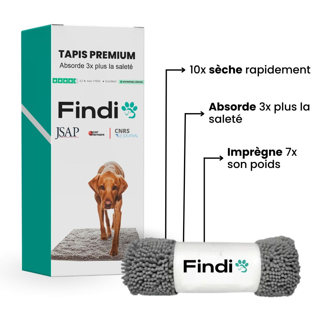 Tapis Premium Findi